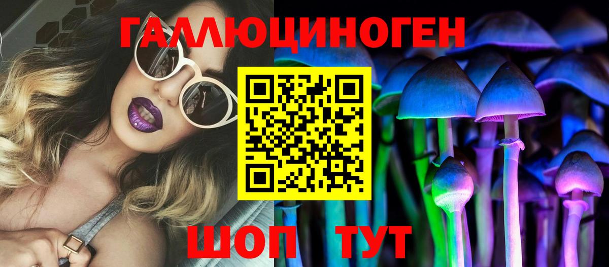 Галлюциногенные грибы Psilocybe  Вход с VPN  Псилоцибиновые грибы GOLDEN TEACHER  Зеленодольск 